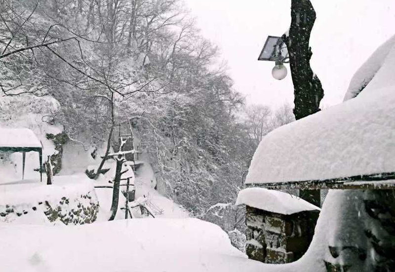 行業(yè)普及：太陽(yáng)能路燈有什么種類(lèi)